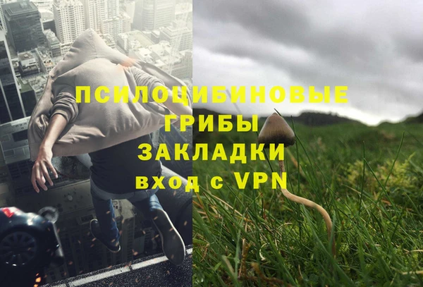 дживик Нязепетровск