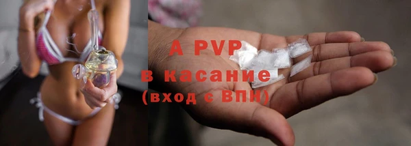 крисы Осинники