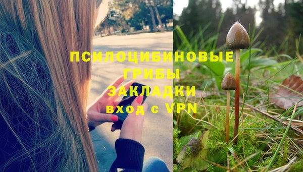 крисы Осинники
