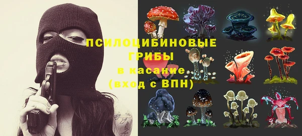 крисы Осинники
