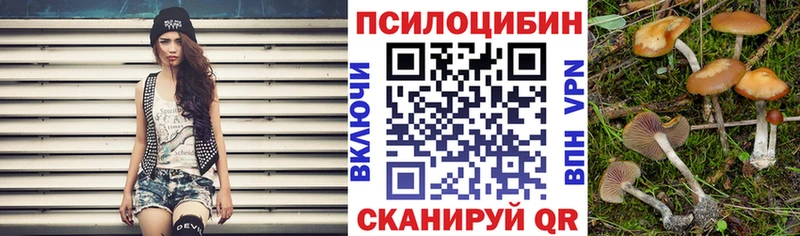 магазин продажи наркотиков  Кировград  Галлюциногенные грибы Magic Shrooms 